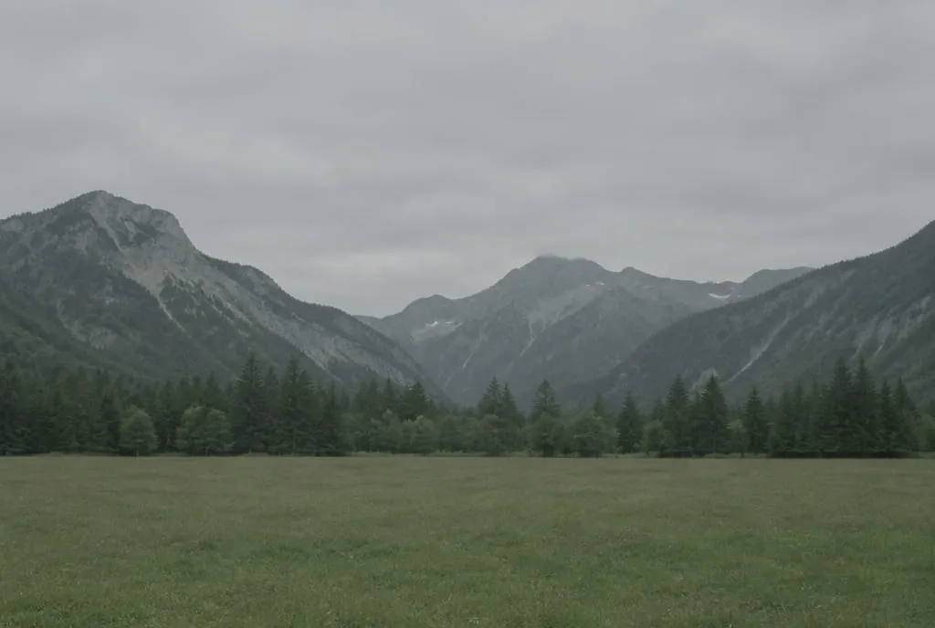 Valle alpina illustrata sotto un cielo uniformemente coperto: prato, bosco e montagne hanno toni simili e la scena appare schiacciata su un solo piano